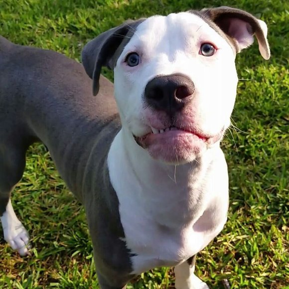 Meet your Posher, Grynderella - Picture 5 of 8